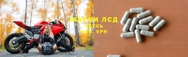 прущие грибы Володарск