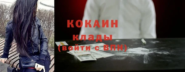 прущие грибы Володарск