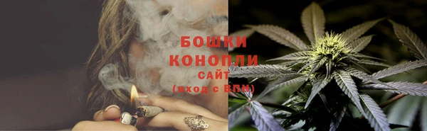 прущие грибы Володарск