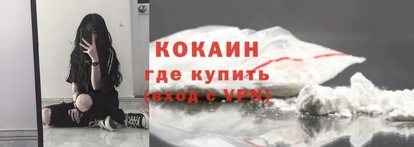 прущие грибы Володарск